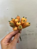 carote finte