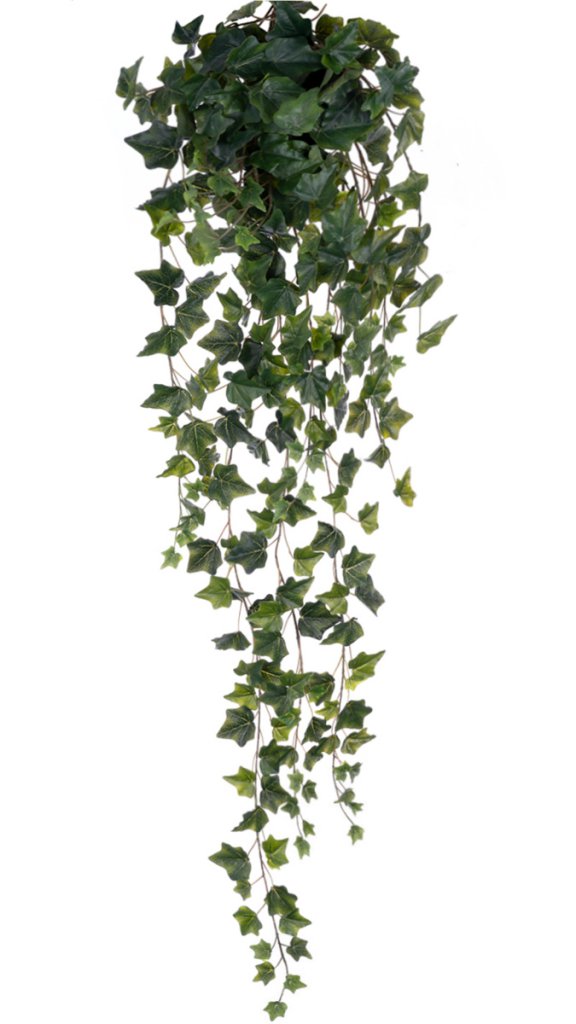 bush artificiale di edera